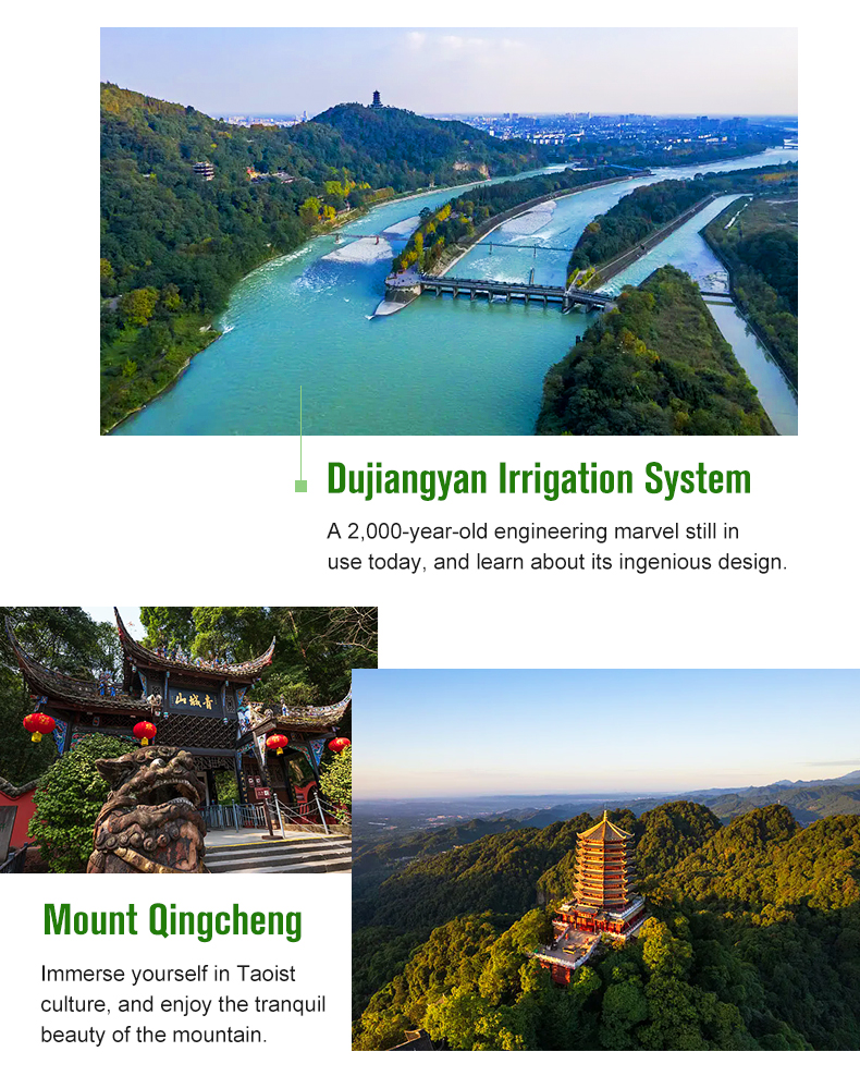 How to Navigate Chengdu Travel Service Charter Prices Without Breaking the Bank