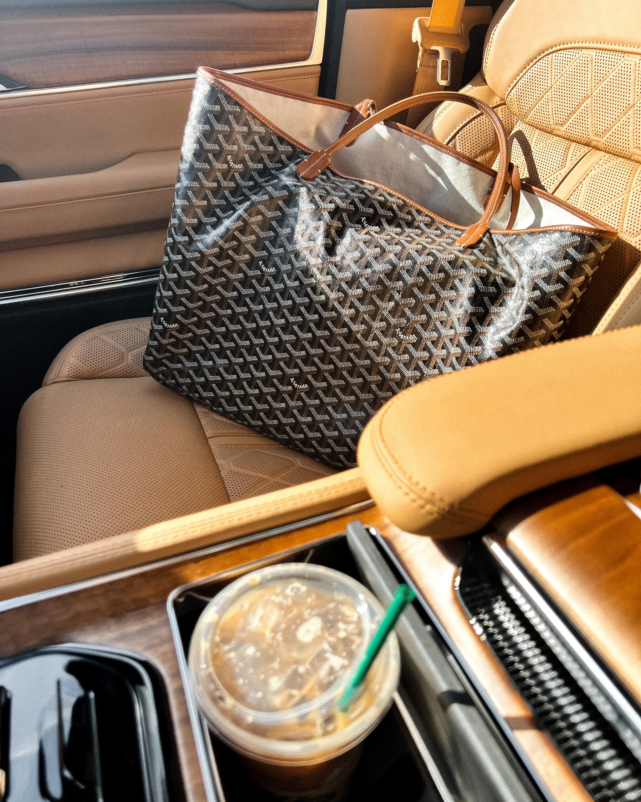 Longchamp Bag Organizer: Effortless Organization for Your Daily Essentials